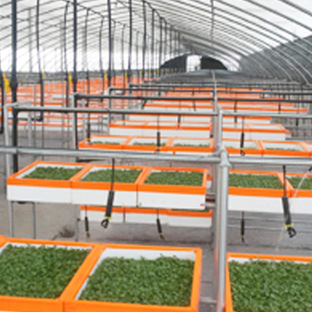 金越機(jī)械設(shè)備